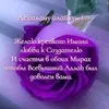 magomedovamaram082
