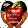 user3685858393476