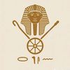 tasneemahmed3876