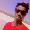 sallngar6
