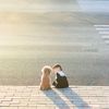 havva_lin