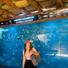 rima_romdhani