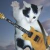 Guitar Cat