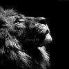 jamshaidmuneer415