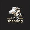 dailyshearing22