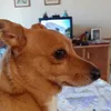 cinziavalentini8