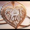 bin.saleh.muhammad