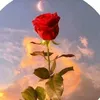 awadawad0608