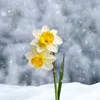 hhjyu9