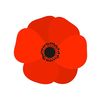 theshoppypoppy