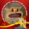 quang_foo9