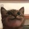lillllllll_234