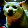 bill._boosaw