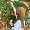 sume.akter848