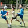 ninhong10