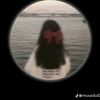 salman.farsi2758