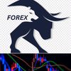 forexwhizpers