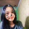 ml.sl2