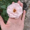 madamsen96