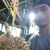 budi.yanto.yanto71
