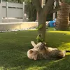 catiwwooooo