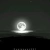 fatimaoffical864