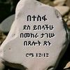 ane_e1234