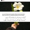 ashu_ali50