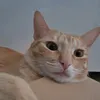 josemacp08