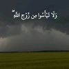 حمص.