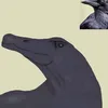 vuk_animation