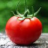 tomate_155