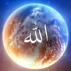 .tittok.amirkhan