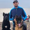 dolf.cane.corso