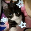 zumicyy_.starz