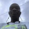 honeybager231