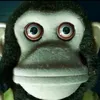 el_macaco111