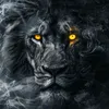 hng.trn0921
