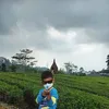 quaywahyudi