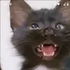 carlosfers85