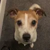 jamiemcanearney5
