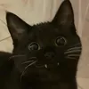 sdfghj_k