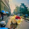 riyadahmed9435