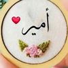 amir.sab067