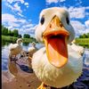 jemedusun.123.com