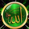 user7974880674692