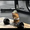 hhehehe182
