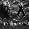 saraigamarro2