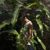 eddplants
