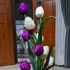 rizky54170